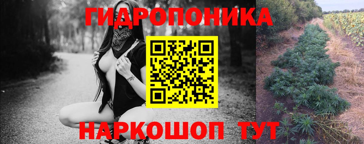 Бошки марихуана Ganja  Бошки Шишки тримм  Каменка  Конопля сатива  Вход с VPN 